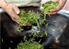 湖南省油茶产业协会成立