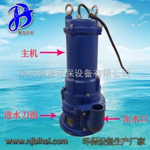 双绞刀泵 污水处理厂专业泵 粉碎杂物泵 *