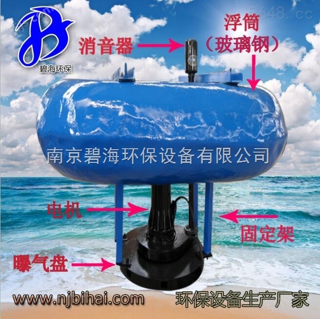 玻璃钢浮筒潜水搅拌机 FQJB7.5/12 掌柜* 立式环流搅拌设备