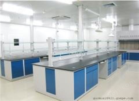 广州实验室家具实验台，全钢实验台，钢木实验台，可非标定做