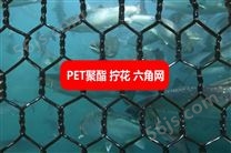 PET聚酯六角网 pet聚酯石笼网 pet聚酯拧花网