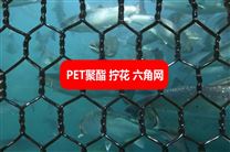PET聚酯六角网 pet聚酯石笼网 pet聚酯拧花网