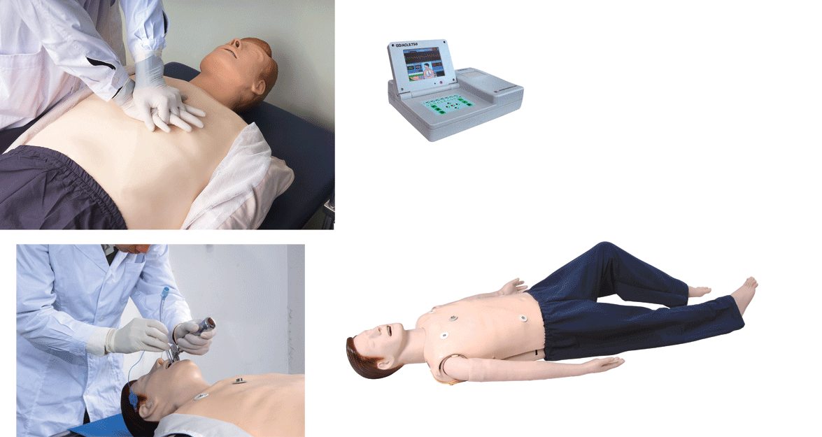 GD/ALS750 高级多功能急救训练模拟人(CPR 与综合功能、嵌入式系统)